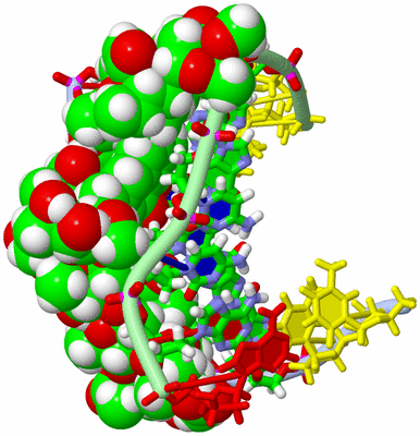 Image NMR Structure - model 1, sites