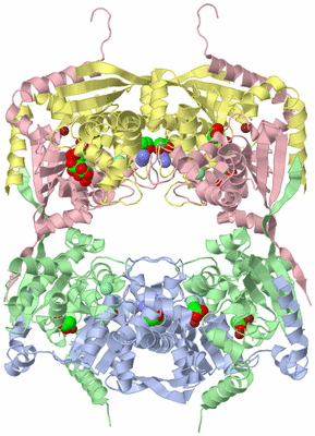 Image Biological Unit 1