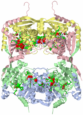 Image Biol. Unit 1 - sites