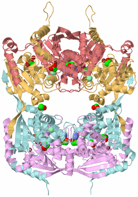 Image Biological Unit 2