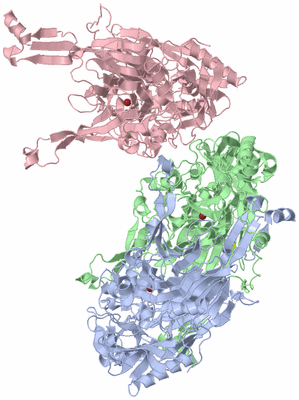 Image Asymmetric Unit