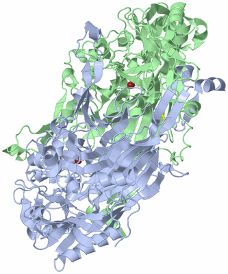 Image Biological Unit 1