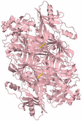 Image Biological Unit 2