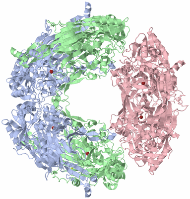 Image Biological Unit 3