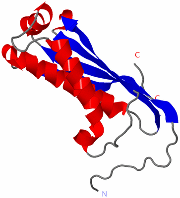 Image Asymmetric Unit