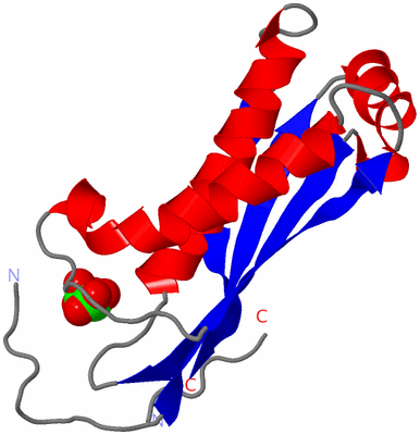Image Asymmetric Unit