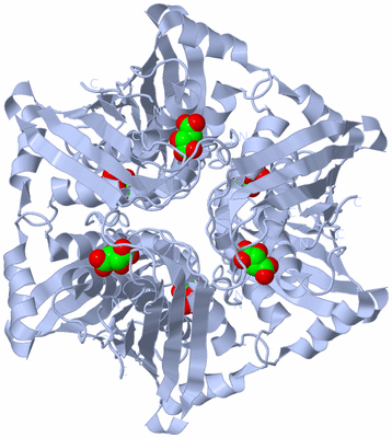 Image Biological Unit 1