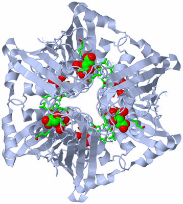 Image Biol. Unit 1 - sites