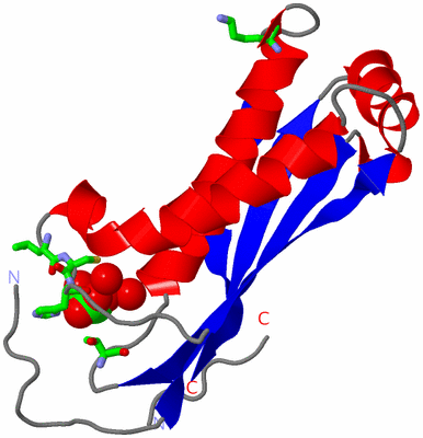 Image Asym. Unit - sites