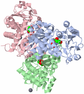 Image Asym./Biol. Unit