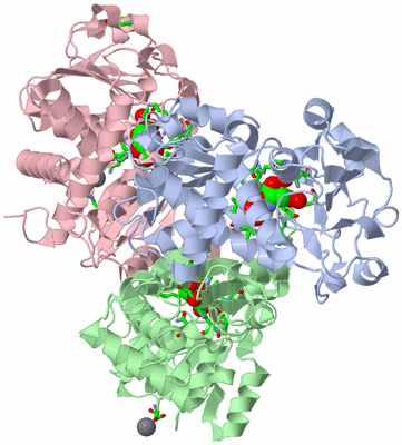 Image Asym./Biol. Unit - sites