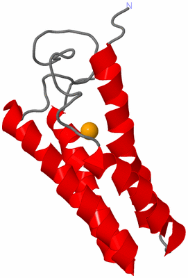 Image NMR Structure - model 1