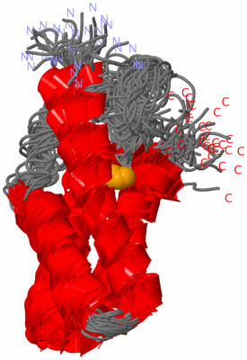 Image NMR Structure - all models