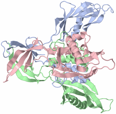 Image Asym./Biol. Unit