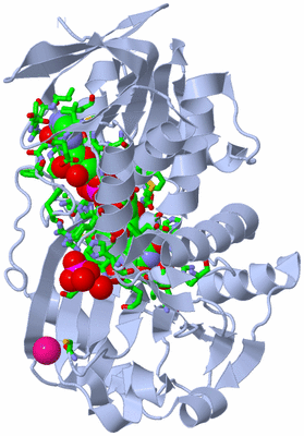 Image Biol. Unit 1 - sites