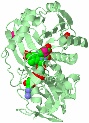 Image Biological Unit 2