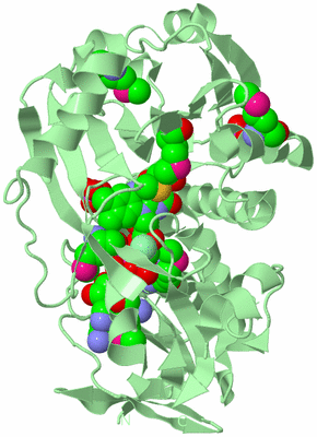 Image Biological Unit 2