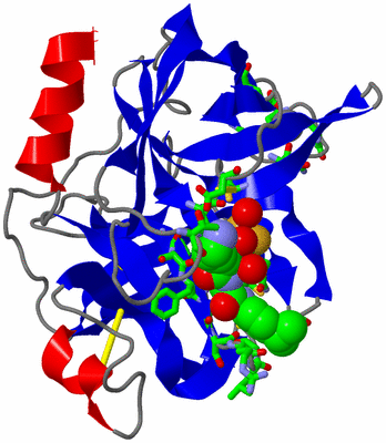 Image Asym./Biol. Unit - sites