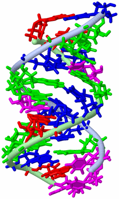 Image NMR Structure - model 1