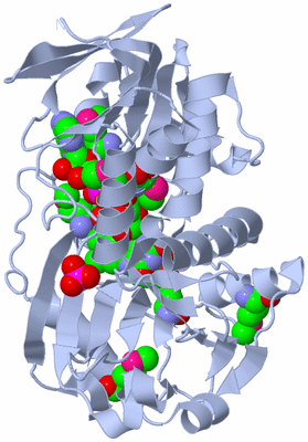 Image Biological Unit 1