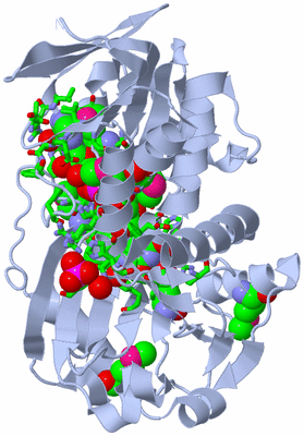 Image Biol. Unit 1 - sites