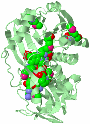 Image Biological Unit 2