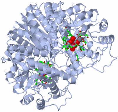 Image Biol. Unit 1 - sites