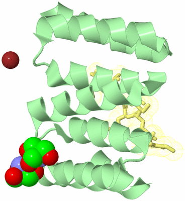 Image Biological Unit 2