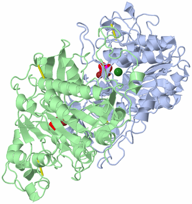 Image Asym./Biol. Unit
