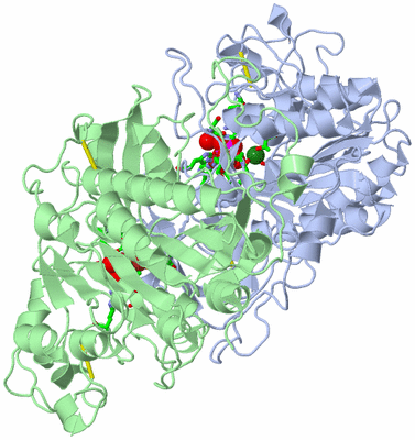 Image Asym./Biol. Unit - sites