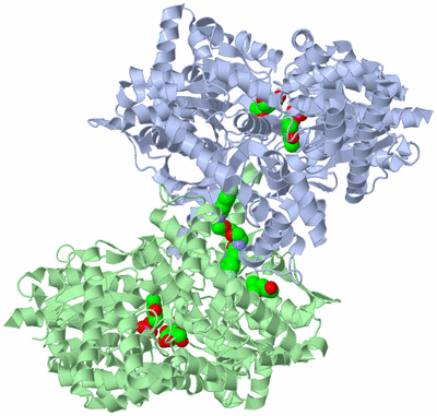 Image Asym./Biol. Unit