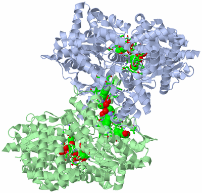 Image Asym./Biol. Unit - sites