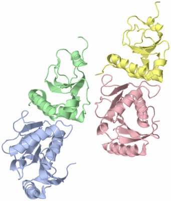 Image Asymmetric Unit