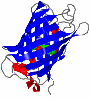 Image Asymmetric Unit