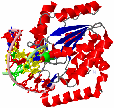 Image Asym./Biol. Unit