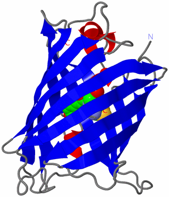 Image Asymmetric Unit