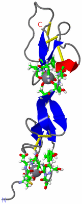 Image NMR Structure - model 1, sites