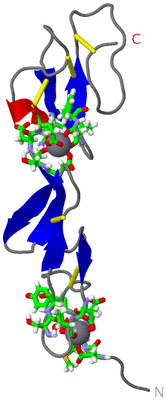 Image NMR Structure - model 1, sites