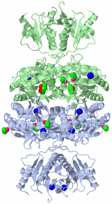 Image Biological Unit 1