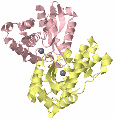 Image Biological Unit 2