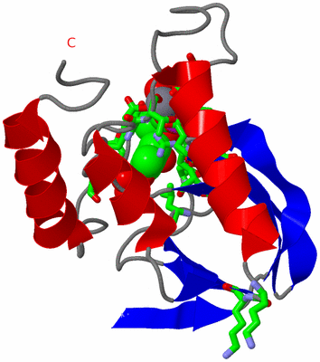 Image Asym./Biol. Unit - sites