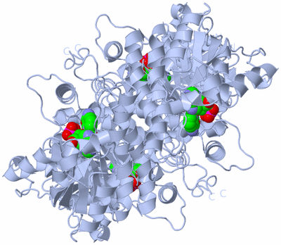 Image Biological Unit 1