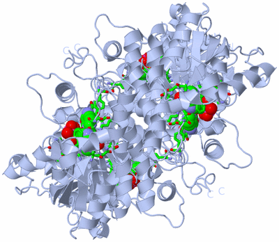 Image Biol. Unit 1 - sites