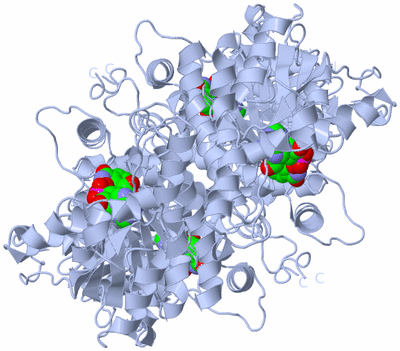 Image Biological Unit 1