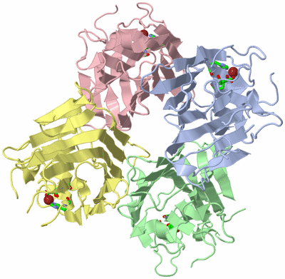 Image Asym./Biol. Unit - sites