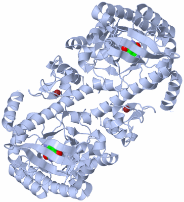 Image Biological Unit 2