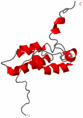 Image NMR Structure - model 1