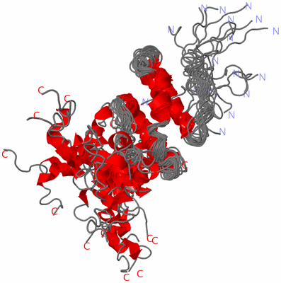 Image NMR Structure - all models