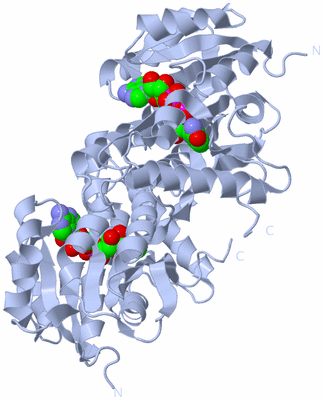 Image Biological Unit 1