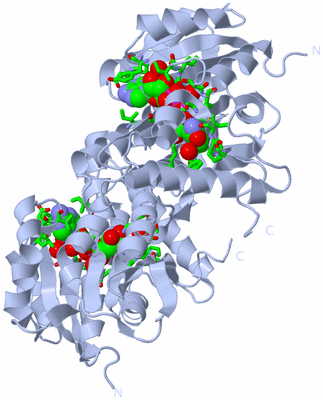 Image Biol. Unit 1 - sites